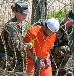 Gitmo on Prisonworld Blogtalk